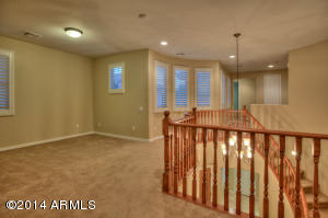 3945 E Half Hitch Pl, Phoenix, AZ 85050 photo 14