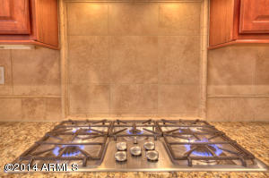3945 E Half Hitch Pl, Phoenix, AZ 85050 photo 10