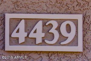 4439 E Graythorn St, Phoenix, AZ 85044 photo 44