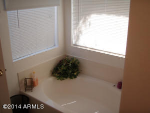1457 S Vine St, Gilbert, AZ 85233 photo 15