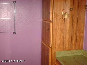 7259 E Balmoral Ave, Mesa, AZ 85208 photo 11