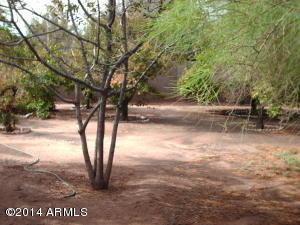 7259 E Balmoral Ave, Mesa, AZ 85208 photo 15
