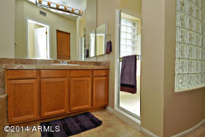 4816 E Daley Ln, Phoenix, AZ 85054 photo 72