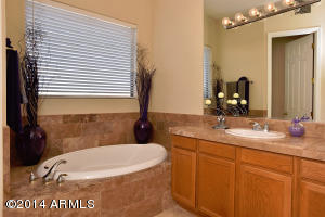 4816 E Daley Ln, Phoenix, AZ 85054 photo 81