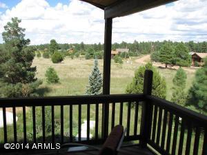 2726 Pine Meadow Dr, Overgaard, AZ 85933 photo 16
