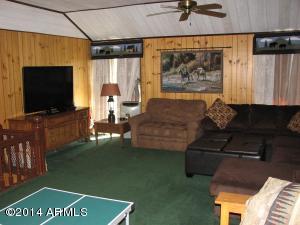 2726 Pine Meadow Dr, Overgaard, AZ 85933 photo 11