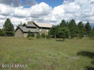 2726 Pine Meadow Dr, Overgaard, AZ 85933 photo 17