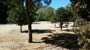 3726 E Kachina Dr, Phoenix, AZ 85044 photo 30