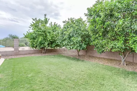 4251 E Tether Trl, Phoenix, AZ 85050 photo 56