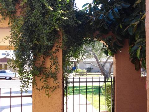 1110 E Cheryl Dr, Phoenix, AZ 85020 photo 21