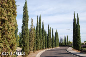 4055 E Leonora Cir, Mesa, AZ 85215 photo 70