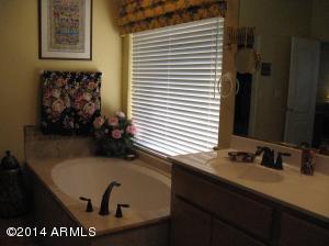 4055 E Leonora Cir, Mesa, AZ 85215 photo 33