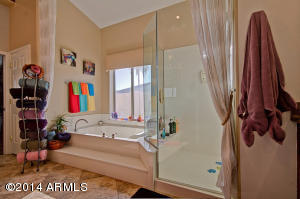 917 E Cathedral Rock Dr, Phoenix, AZ 85048 photo 13