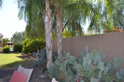 5480 S Crabtree Ln, Gilbert, AZ 85298 photo 55