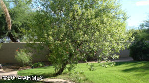 2233 E Marquette Dr, Gilbert, AZ 85234 photo 10