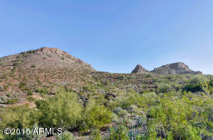 1215 E Rowlands Ln, Phoenix, AZ 85022 photo 28