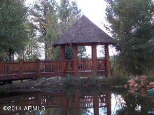 2276 Overgaard Springs Loop, Overgaard, AZ 85933 photo 8
