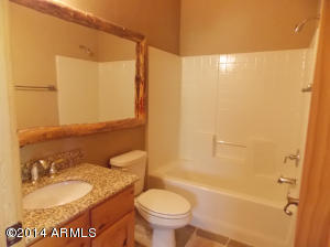 2276 Overgaard Springs Loop, Overgaard, AZ 85933 photo 28