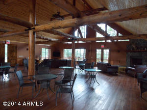 2276 Overgaard Springs Loop, Overgaard, AZ 85933 photo 11