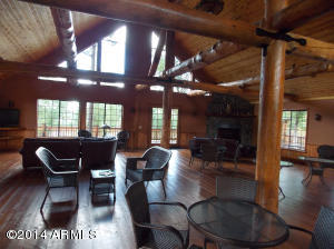 2276 Overgaard Springs Loop, Overgaard, AZ 85933 photo 9