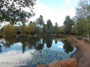 2276 Overgaard Springs Loop, Overgaard, AZ 85933 photo 4