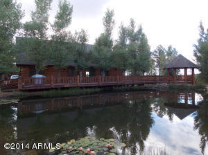 2276 Overgaard Springs Loop, Overgaard, AZ 85933 photo 7