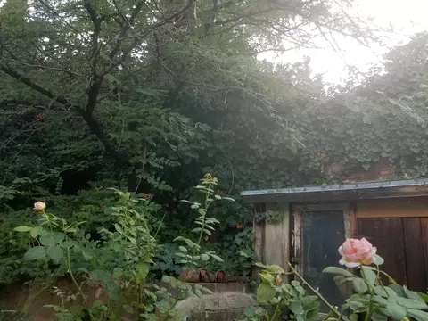 209 4th St, Jerome, AZ 86331 photo 7