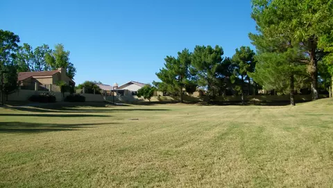 928 S Abalone Dr, Gilbert, AZ 85233 photo 38