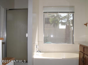 3117 E Kerry Ln, Phoenix, AZ 85050 photo 12