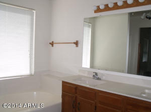 3117 E Kerry Ln, Phoenix, AZ 85050 photo 14