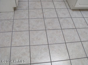 3117 E Kerry Ln, Phoenix, AZ 85050 photo 19