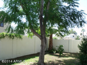 3117 E Kerry Ln, Phoenix, AZ 85050 photo 17