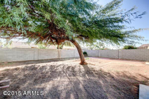 1683 E Robin Ln, Gilbert, AZ 85296 photo 23