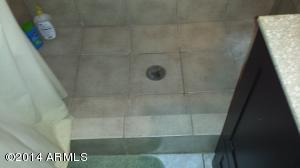 1702 E Lynne Ln, Phoenix, AZ 85042 photo 19