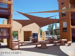 1005 E 8th St #2009, Tempe, AZ 85281 photo 6