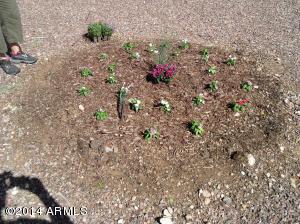 2850 E Laurel St, Mesa, AZ 85213 photo 5