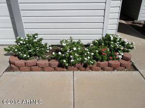 2850 E Laurel St, Mesa, AZ 85213 photo 4
