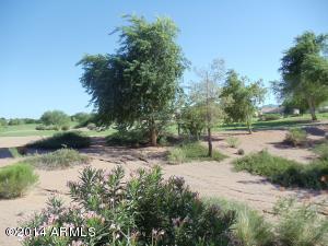 4211 E Indigo St, Gilbert, AZ 85298 photo 17