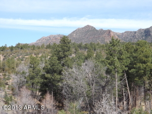 480 N Myrtle Point Trl, Payson, AZ 85541 photo 3