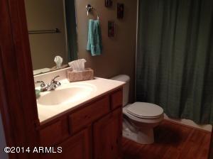 2646 Lodge Loop, Overgaard, AZ 85933 photo 11