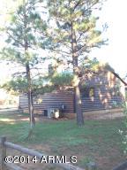 2646 Lodge Loop, Overgaard, AZ 85933 photo 17