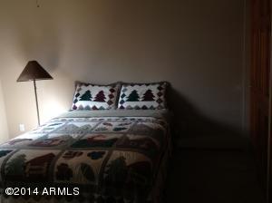 2646 Lodge Loop, Overgaard, AZ 85933 photo 8