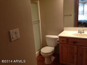 2646 Lodge Loop, Overgaard, AZ 85933 photo 13