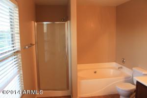 1131 S Bogle Ct, Chandler, AZ 85286 photo 15