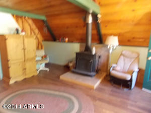 2896 Big Pine Rd, Overgaard, AZ 85933 photo 3