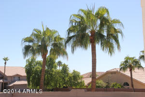 3631 E Windmere Dr, Phoenix, AZ 85048 photo 44
