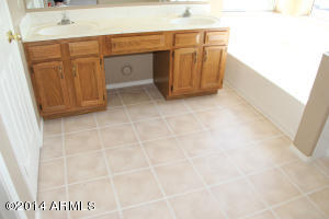 3631 E Windmere Dr, Phoenix, AZ 85048 photo 49