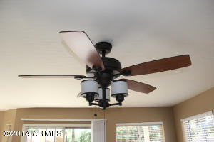 3631 E Windmere Dr, Phoenix, AZ 85048 photo 14