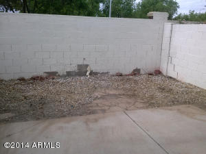 1135 W Mango Dr, Gilbert, AZ 85233 photo 8