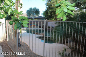 3079 E San Pedro Ct, Gilbert, AZ 85234 photo 51